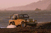 icon3.gif (5711 bytes)